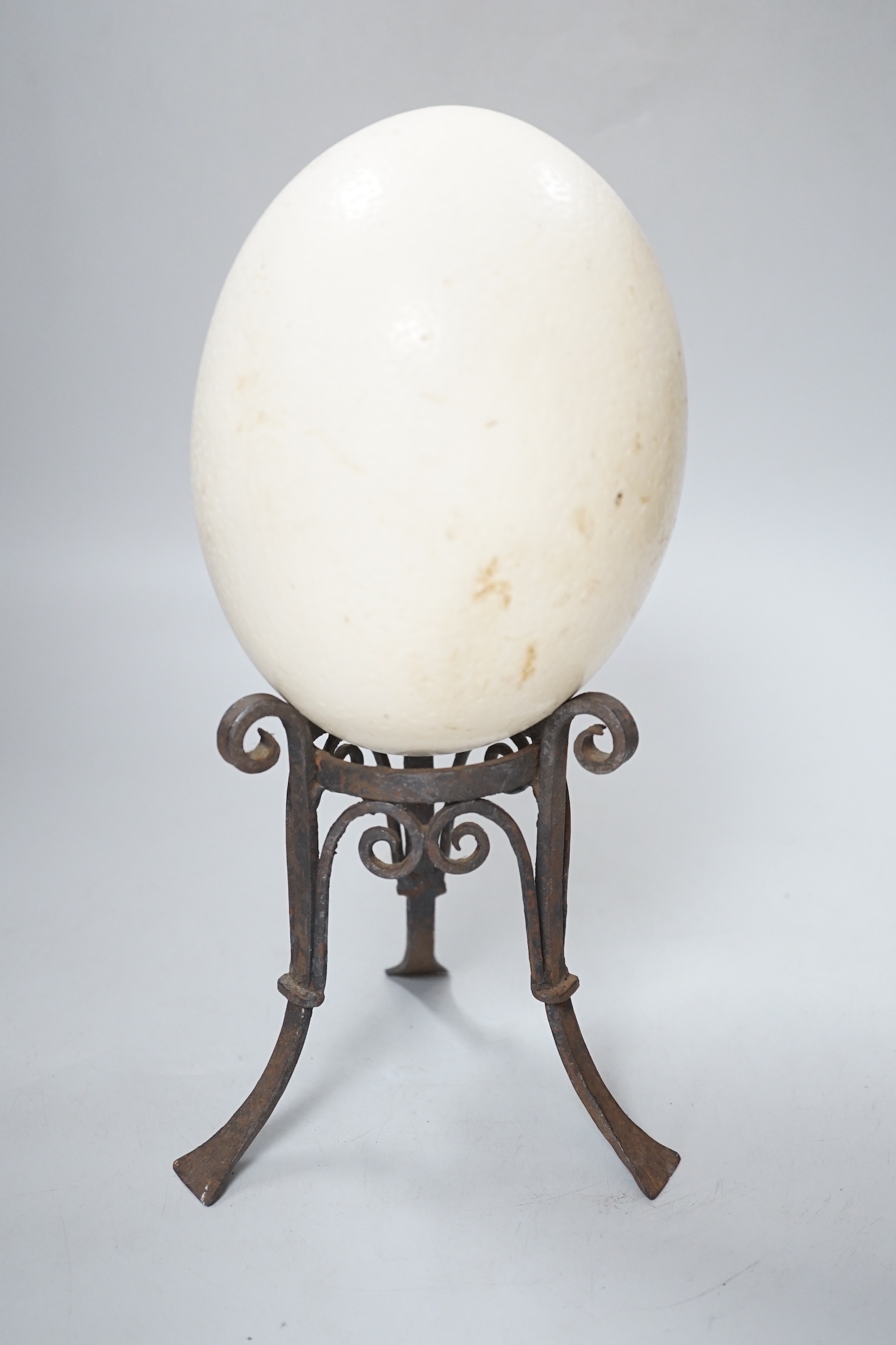 An ostrich egg on wrought iron stand, 29cm